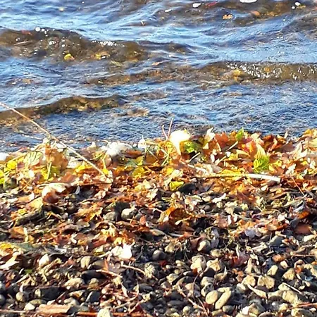 Apartmán Suedseeufer