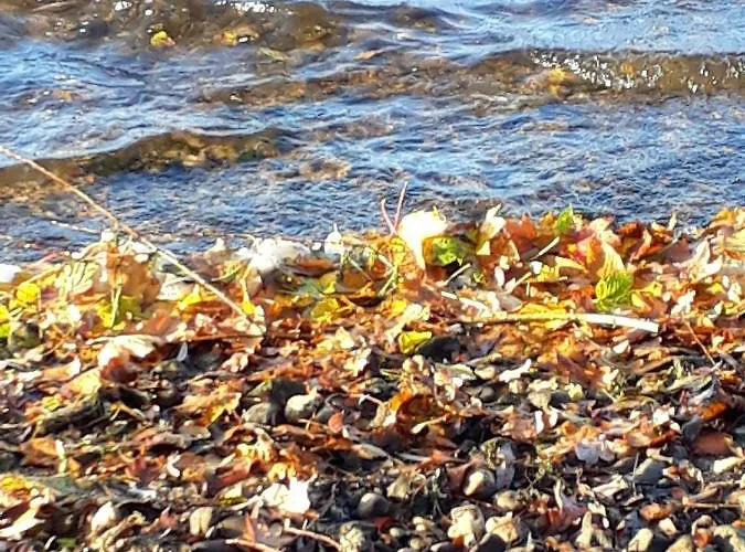 Appartement Suedseeufer